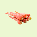 Carrot / Gajar (گاجر)
