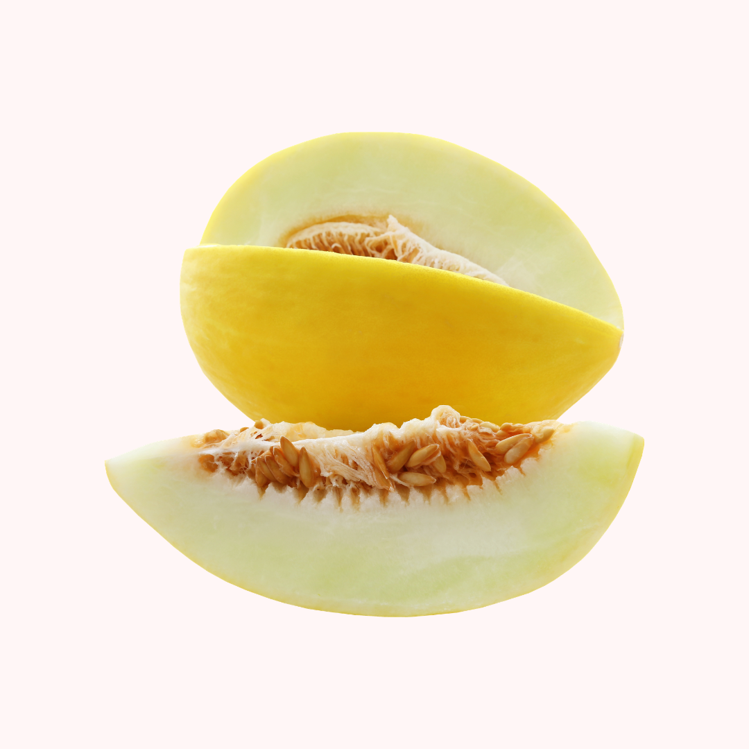 Honey Dew Melon / Garma