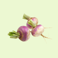 Turnip / Shaljam (شلجم)