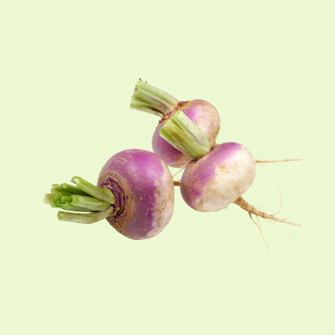 Turnip / Shaljam (شلجم)