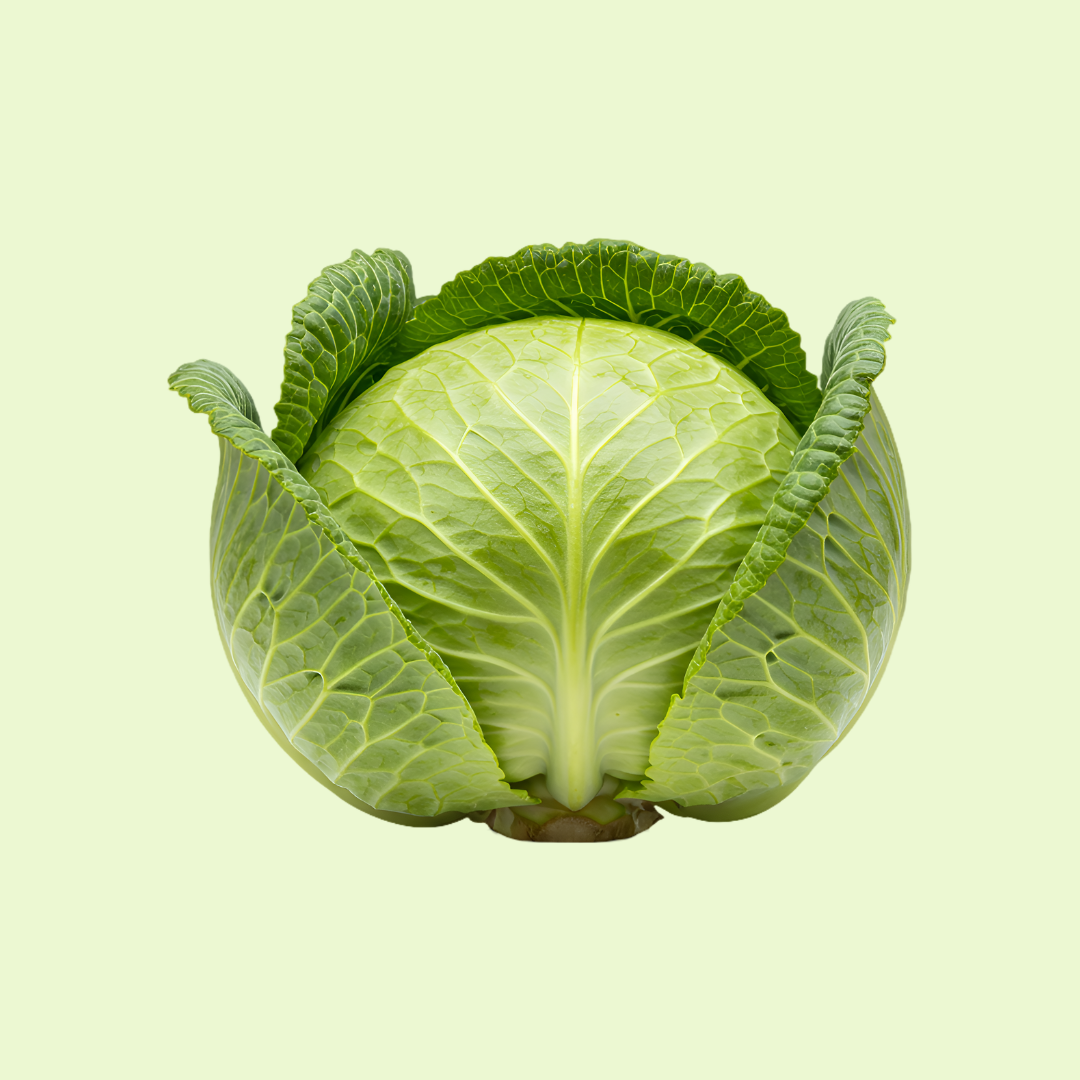 Cabbage / Band Ghobi (بند گوبھی)
