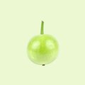 Round Gourd (کدو) / KADDU