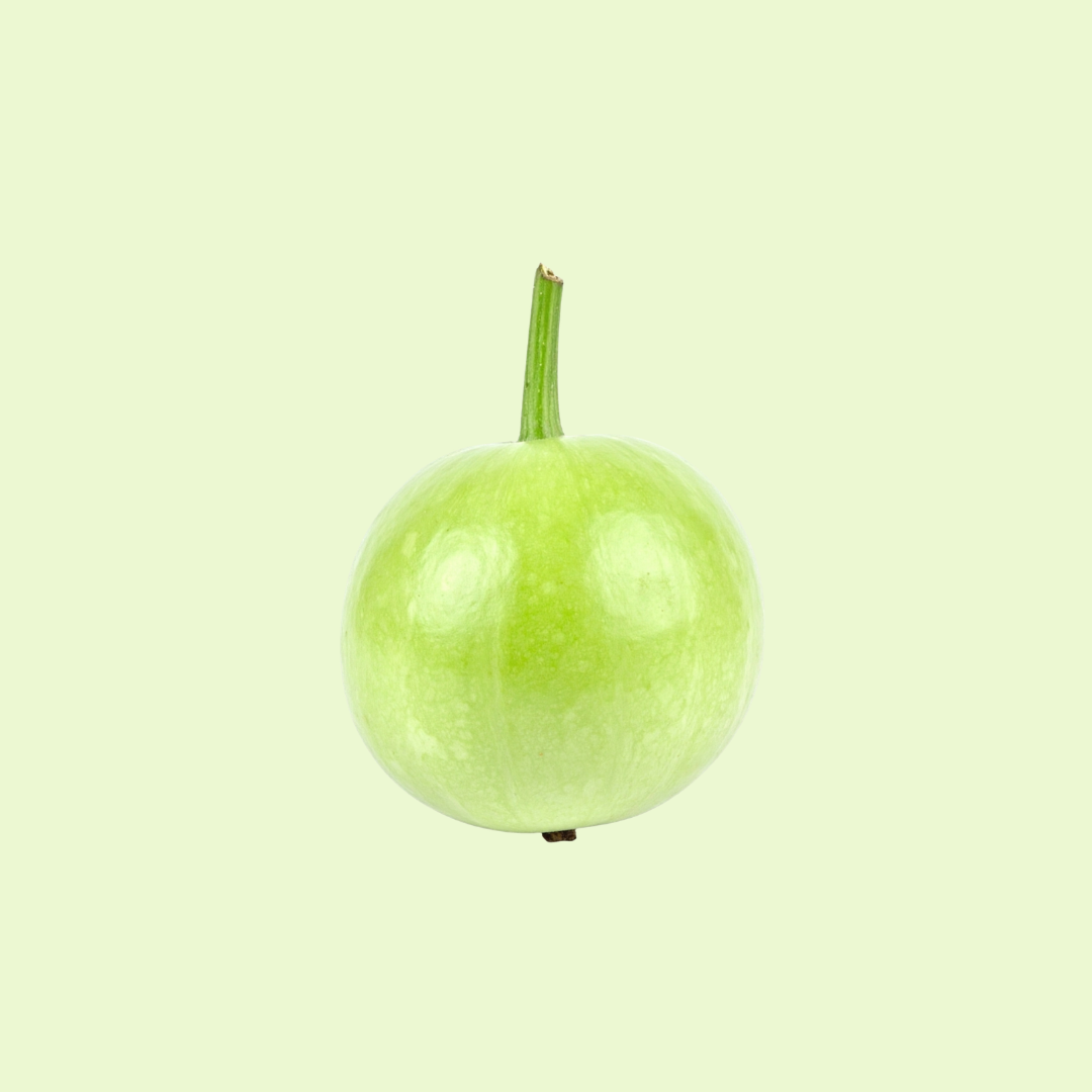 Round Gourd (کدو) / KADDU