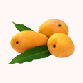 Mango Chaunsa