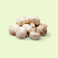 Mushroom (مشروم)