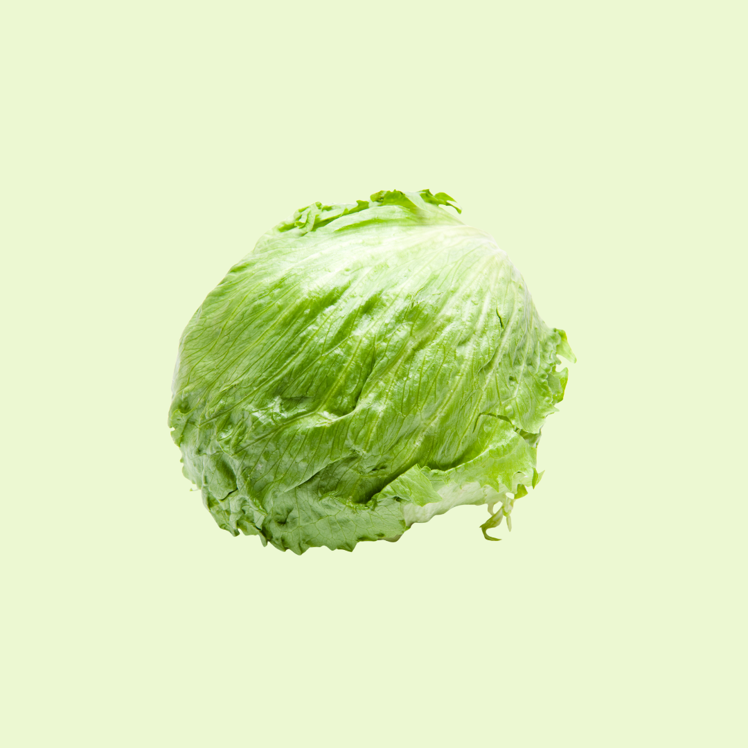 Iceberg Lettuce (آئس برگ لیٹس)