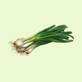 Spring Onion (ہرا پیاز)