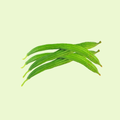 Ridge Gourd / Tori
