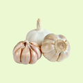 Garlic لہسن