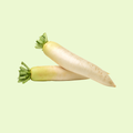 Radish (مولی)