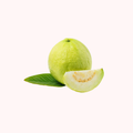 Guava